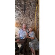 House Sitter - Reliable care for your pets and property