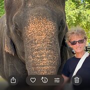 House Sitter - Frances 