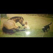 House Sitter - AliLove and Care for Your Space