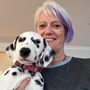 House Sitter - Judy - Honest, reliable animal lover