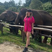 House Sitter - Tahlia