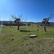 Home Owner wanting sitter in Canberra , New South Wales