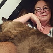 House Sitter - Solutions