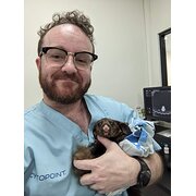 House Sitter - Purrfectly reliable vet