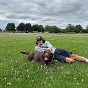 House Sitter - Emerson 