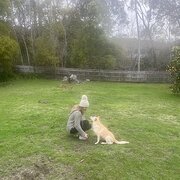 House Sitter - Ms Karen