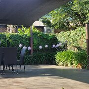 Home Owner wanting sitter in Melbourne , Victoria
