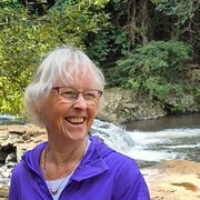 House Sitter - Dogs are my joy