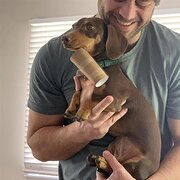 House Sitter - Trusted Sitter for Your Home & Pets