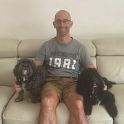 House Sitter - Dog loving housetter avaiable 