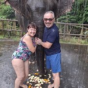 House Sitter - John and Cheryl