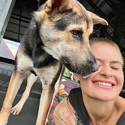 House Sitter - A quiet, caring presence for your pets