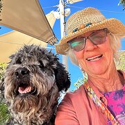 House Sitter - Animal lover reliable and responsible