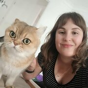 House Sitter - Calm, Clean, and Caring