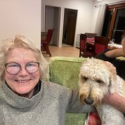 House Sitter - Pet friendly couple