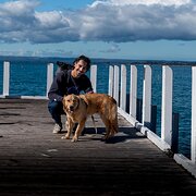 House Sitter - Jules