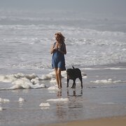 House Sitter - Mature Natural Therapist/Animal Lover