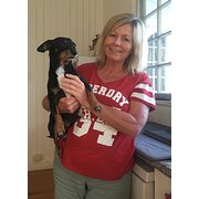 House Sitter - Active non smoking pet loving couple