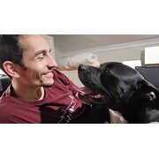 House Sitter - Sam - The Harmonious Sitter