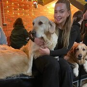 House Sitter - Beth & Billy