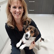 House Sitter - Daz & Deb