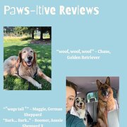House Sitter - Tail Wags & Happy Paws Guaranteed!