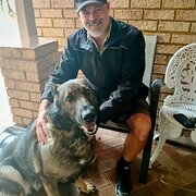 House Sitter - Reliable home and pet sitting