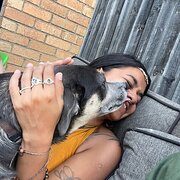 House Sitter - A new friend for your furry friends! 