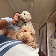 House Sitter - CAMILA AND SEBASTIAN