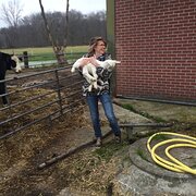 House Sitter - Dutch traveller