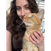 House Sitter - Calm, caring & experienced pet sitter