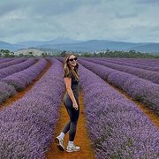 House Sitter - Reliable Teacher and Animal Lover