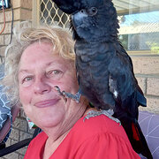 House Sitter - Julie: friendly professional cleaner