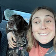 House Sitter - Reliable pet sitter