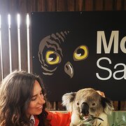 House Sitter - Miss Rebecca