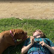 House Sitter - Reliable Melbourne Local