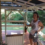 House Sitter - Hobart pets and gardens help exchange.