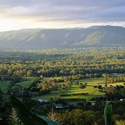 Home Owner wanting sitter in Brisbane, Queensland