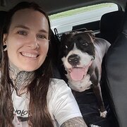 House Sitter - Caring animal lover