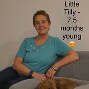 House Sitter - Tracey