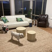 Home Owner wanting sitter in Gosford, New South Wales