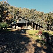 Home Owner wanting sitter in Wodonga , Victoria