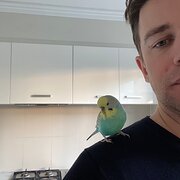 House Sitter - Responsible professional housesitter