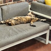 Home Owner wanting sitter in , New South Wales