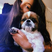 House Sitter - Sophie Summerville