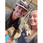 House Sitter - The travelling pet and house sitters