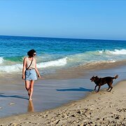 House Sitter - I will always choose dogs over people! 