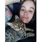 House Sitter - Your Fur Babies' Dream Team