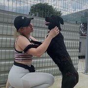 House Sitter - ecperienced pet sitter