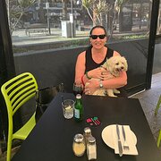 House Sitter - Pet lover and international traveller
